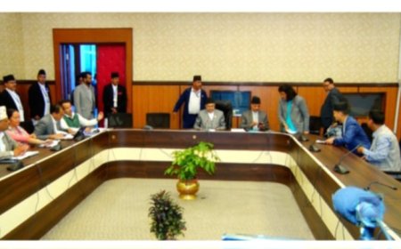 संघीय निजामती सेवा विधेयकको कुलिङ अफ पिरियडःविशेष समितिमा सभापति नै रहने सहमति