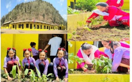 विद्यालयद्वारा वृक्षारोपण तथा प्रथम त्रैमासिक परीक्षाको नतिजा प्रकाशन