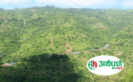 जे.वाइ.सि मगर समाजद्वारा पेक्सर पातालेमा सडक बत्ती र इन्टरनेट जडान