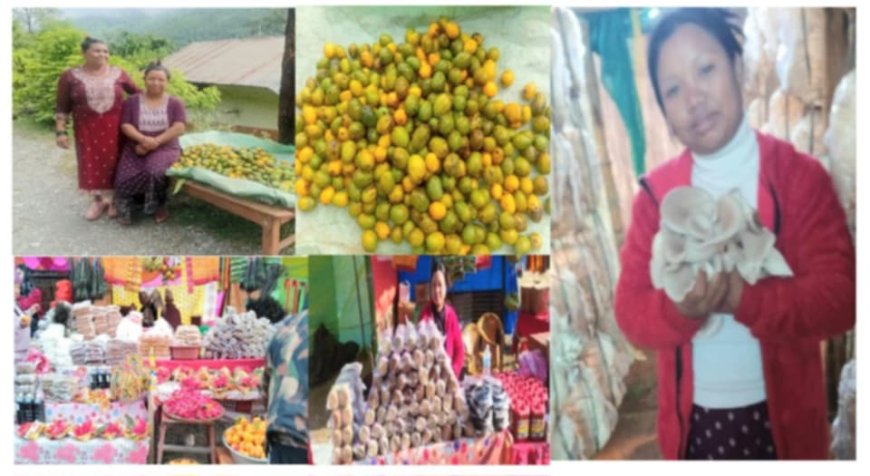 मौसम अनुसारको व्यवसायमा केन्द्रित थापाःहिजोआज आँपको व्यसाय तर्फ व्यस्त