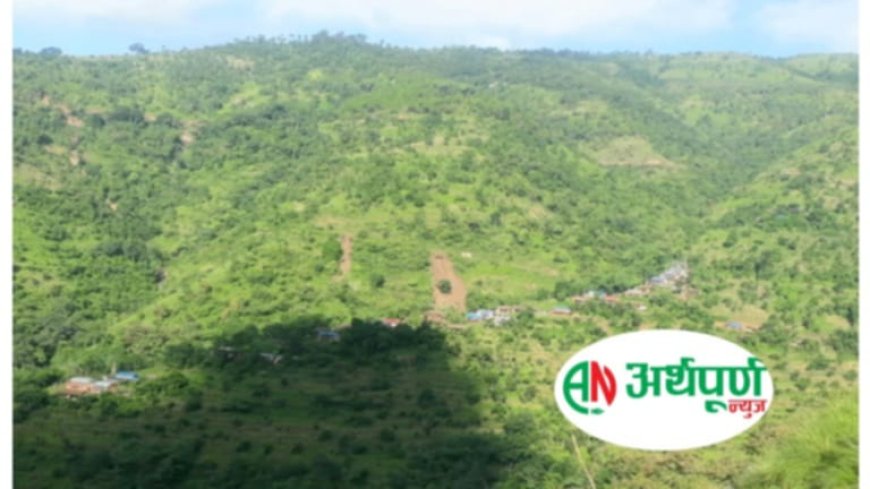 जे.वाइ.सि मगर समाजद्वारा पेक्सर पातालेमा सडक बत्ती र इन्टरनेट जडान