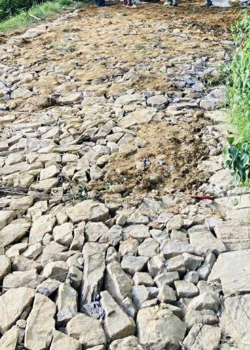 पाण्डबखानीको डाग्डीखोला–झिर्का सडक मर्मत