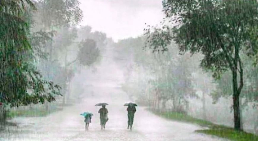 भोलिदेखि मनसुन  थप सक्रियः-देशका धेरै ठाउँमा वर्षाको सम्भावना