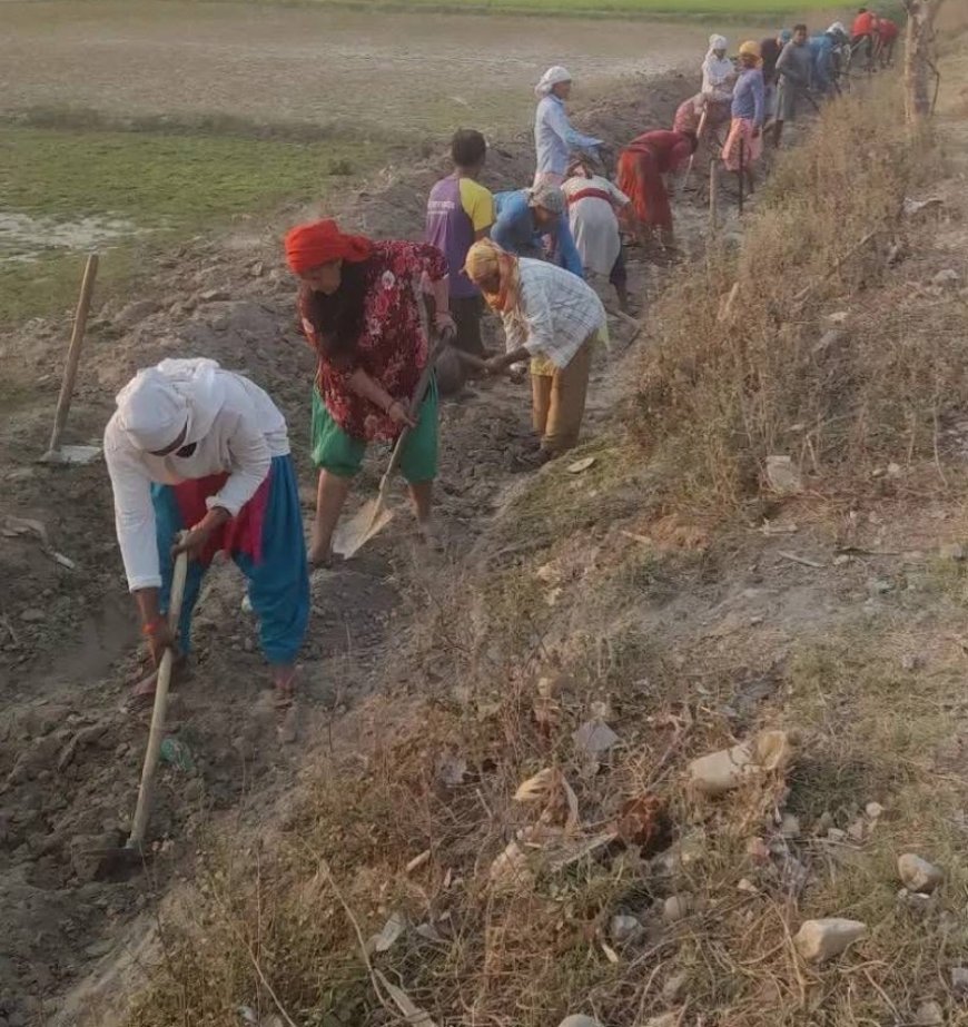 सुनपानीमा सरसफाइ कार्य सम्पन्न