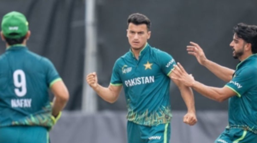 हङकङ सिक्सेस क्रिकेटको उपाधि पाकिस्तानलाई